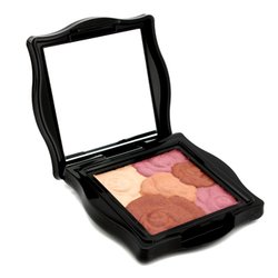 Anna Sui Blush Rose Cheek Color - # 500 6g/0.21oz