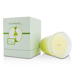 אקספשיונל פרפיומס נר מבושם - Apple Wood 250g/8.8oz