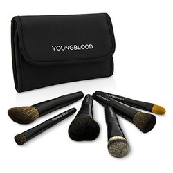Youngblood Professional Mini 6pc Brush Set 6pcs