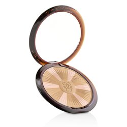 Guerlain Terracotta Light The Sun Kissed Healthy Glow Powder - # 02 Natural Cool 10g/0.3oz