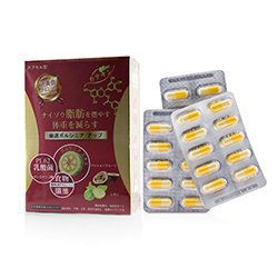 妍美會 妍美會專利雙纖燃燒膠囊1入組Lactobacillus Plantarum x Double Fiber Fat Burn Stimulating Capsules 570mg 30 Capsules