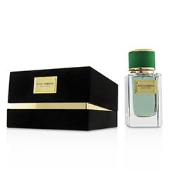 Dolce & Gabbana Woda perfumowana Velvet Cypress Eau De Parfum Spray 50ml/1.7oz