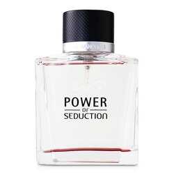 Antonio Banderas Power Of Seduction Eau De Toilette Spray 100ml/3.4oz