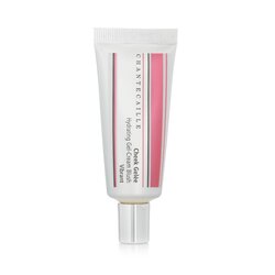 Chantecaille Cheek Gelee Hydrating Gel Cream Blush - Vibrant 23ml/0.8oz