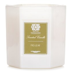 Antica Farmacista Candle - Fig Leaf 255g/9oz