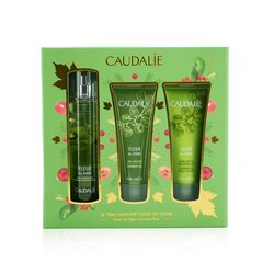 Caudalie Fleur De Vigne Christmas Coffret: Fresh Fragrance Spray 50ml + Gel de Ducha 50ml + Loción Corporal 50ml (Light Green Line) 3pcs