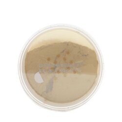 DermaQuest DermaMinerals Buildable Coverage Loose Mineral Powder SPF 20 - # 3W (Unboxed) 11.4g/0.4oz