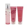 Caudalie Rose De Vigne Christmas Coffret: Fresh Fragrance Spray 50ml + Shower Gel 50ml + Body Lotion 50ml (Pink Line) 3pcs